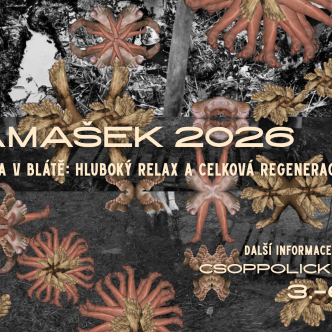 DAMAŠEK 2026
