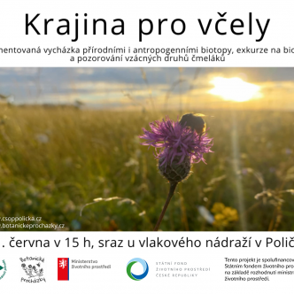Botanická procházka: Krajiny pro včely - za vzácnými druhy a biotopy