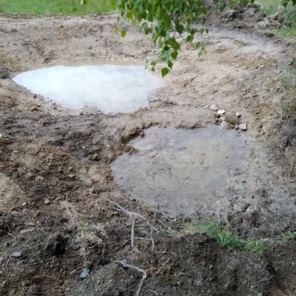 TŮNĚ U HÁJENKY NA DAMAŠKU