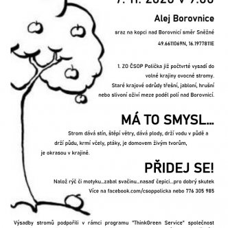 60 stromů do krajiny v roce 2020