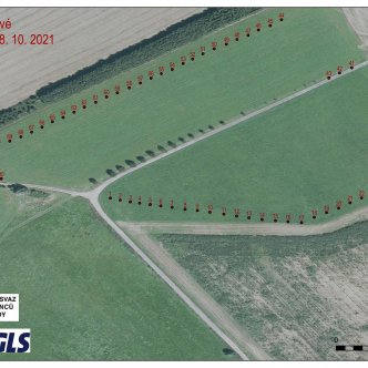 Sad v Jedlové, 28. 10. 2021